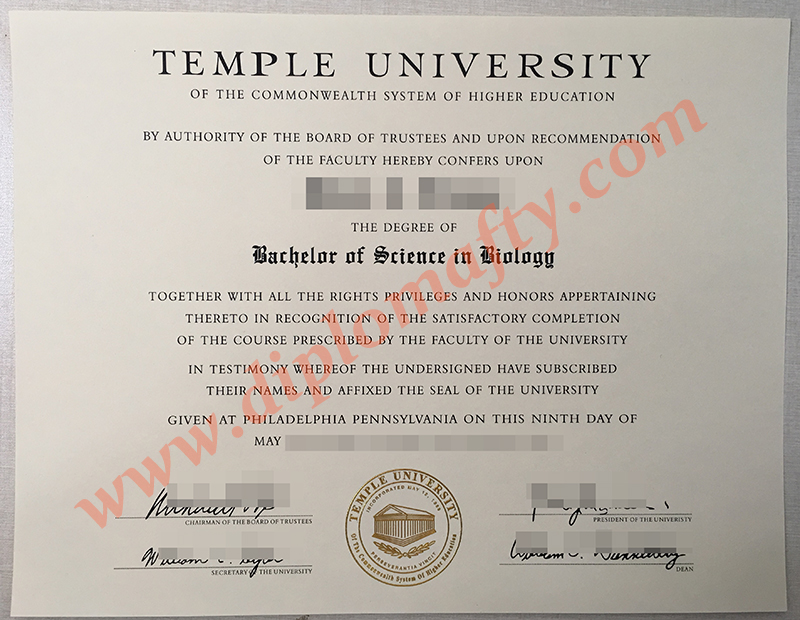 Temple University Diploma