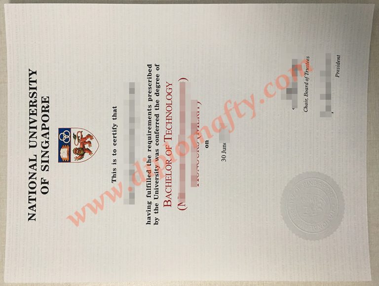 National University of Singapore diploma