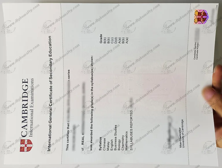 定做国际普通中等教育IGCSE证书