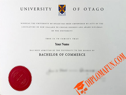奥塔哥大学文凭
