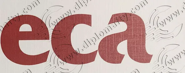Seneca College Name