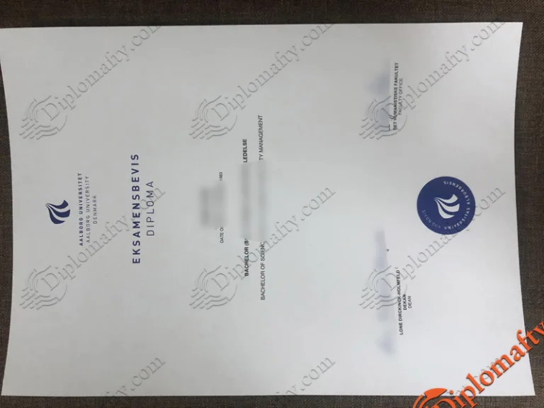 Aalborg University Degree