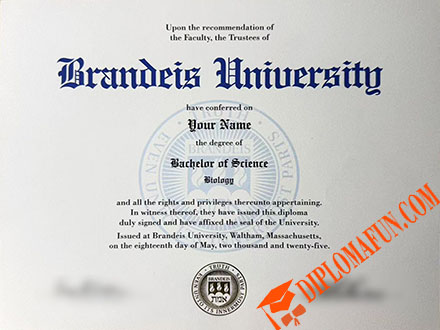 布兰戴斯大学文凭