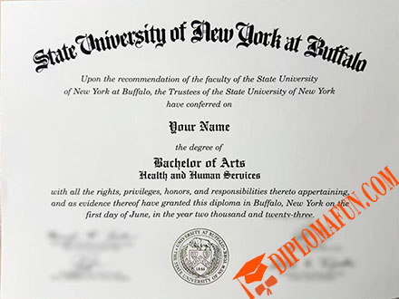 布法罗大学文凭
