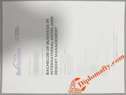 BMIHMS original diploma
