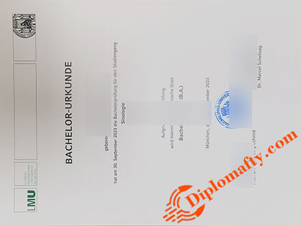 LMU Munich Graduation certificate
